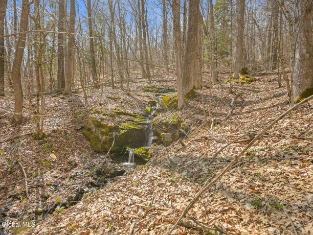 Land for sale in East Worcester, New York