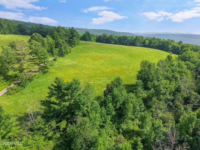Land for sale in Town of Middleburgh, Schoharie County