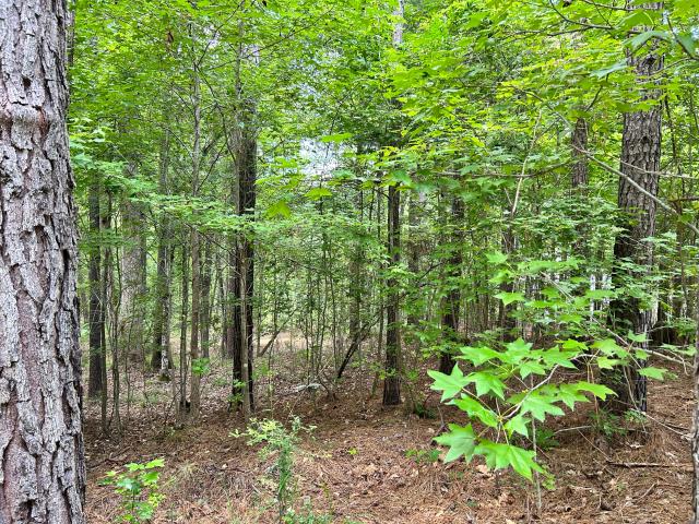 Land for sale in South Carolina