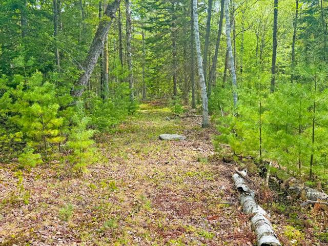 Land for sale in New York