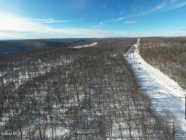 Land for sale in East Branch, New York
