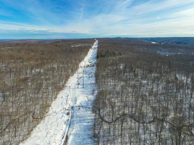 Land for sale in East Branch, New York