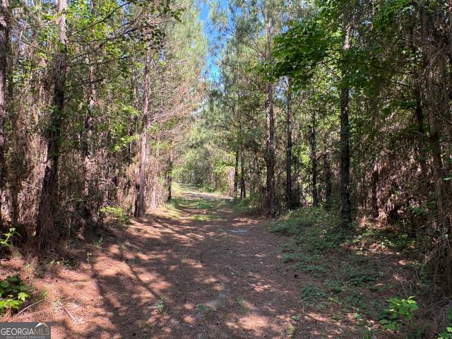 Land for sale in Sandersville, Georgia