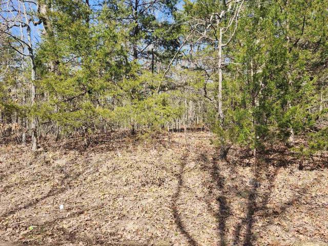 Land for sale in Ark