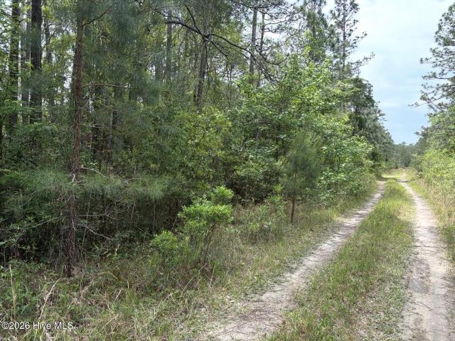 Land for sale in Southport, North Carolina