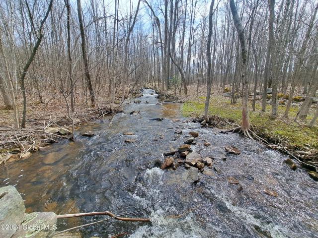 Land for sale in Altona, New York