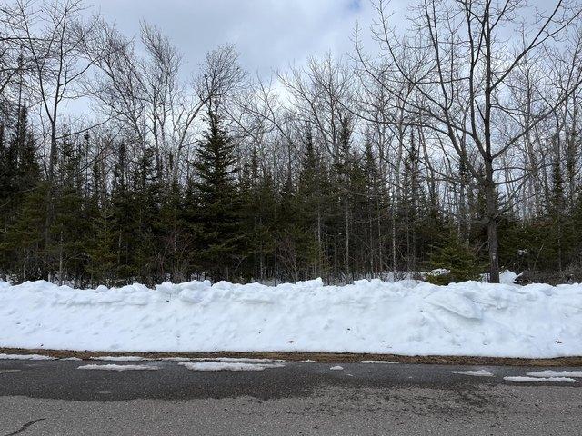 Land for sale in Presque Isle, Michigan