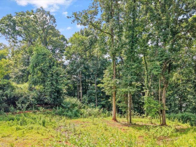 Land for sale in Tennessee