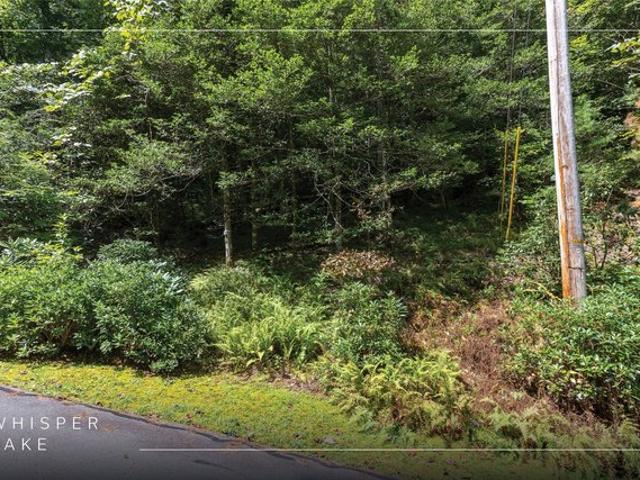 Land for sale in Sapphire, Transylvania County