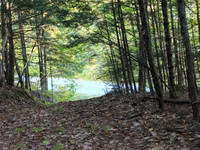Land for sale in Schroon Lake, Essex County