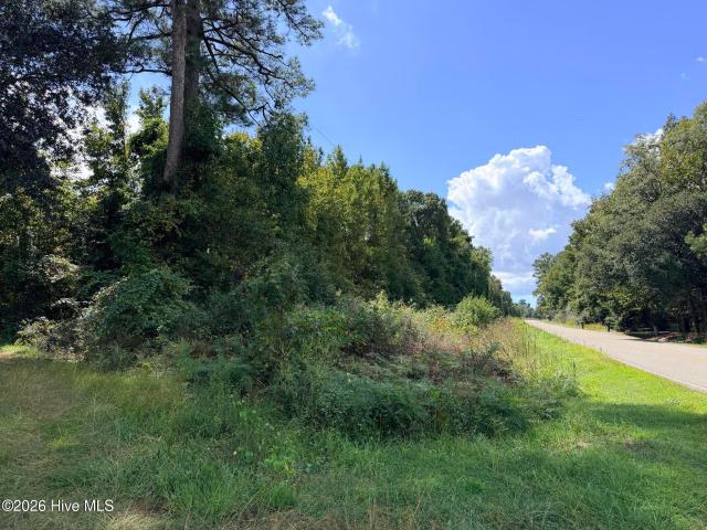 Land for sale in Bolivia, Brunswick County