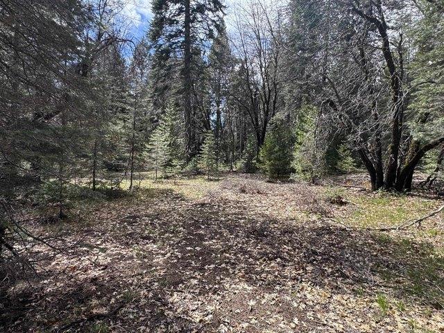 Land for sale in McCloud, Siskiyou County
