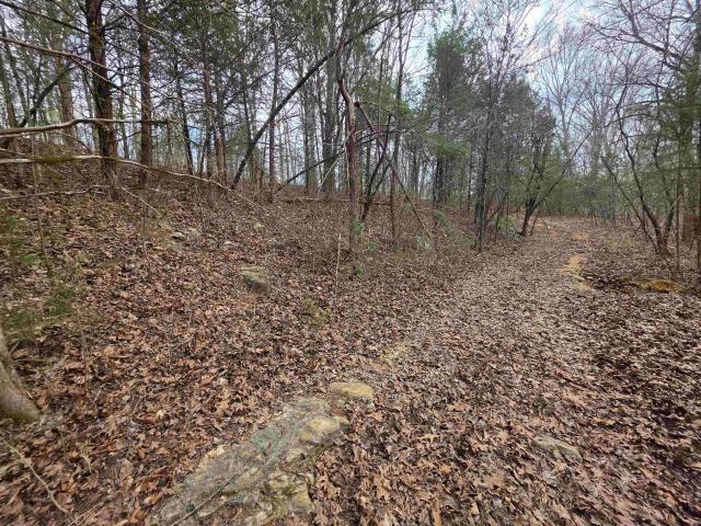 Land for sale in Ark