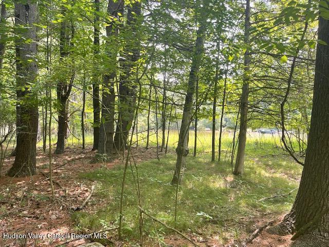 Land for sale in Result, Town of Coxsackie