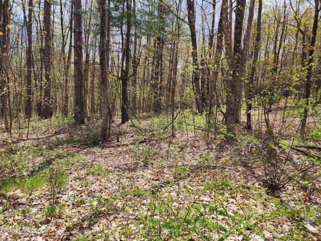 Land for sale in Grafton, New York