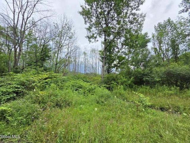 Land for sale in New Berlin, New York