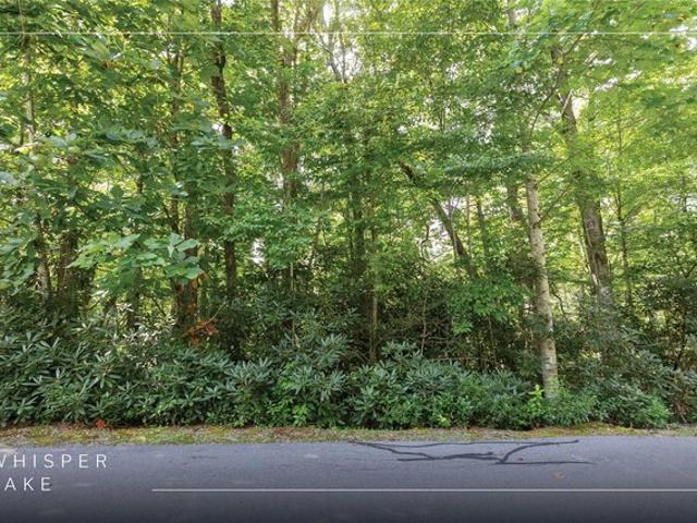 Land for sale in Sapphire, Transylvania County