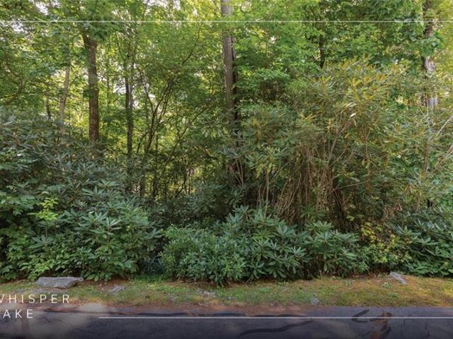 Land for sale in Sapphire, Transylvania County