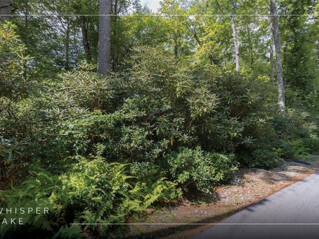 Land for sale in Sapphire, Transylvania County