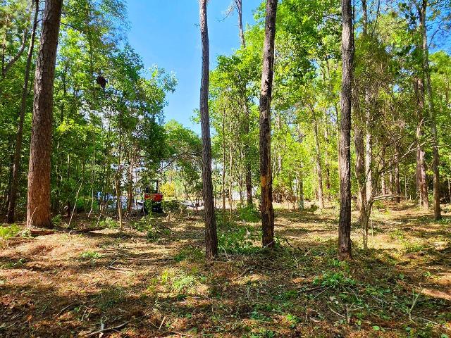 Land for sale in Ash, North Carolina