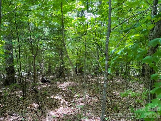 Land for sale in Spruce Pine, North Carolina