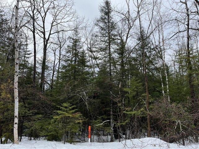 Land for sale in Presque Isle, Michigan