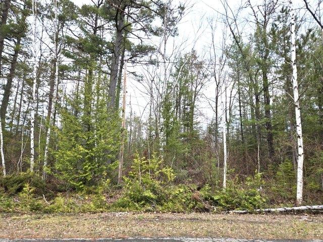 Land for sale in Presque Isle, Michigan