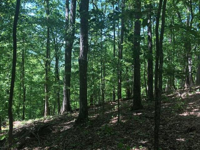 Land for sale in Blairsville, Georgia