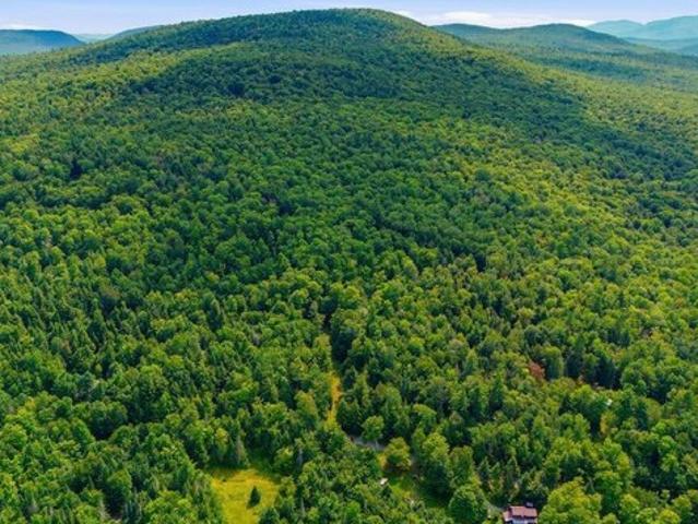 Land for sale in Essex, New York
