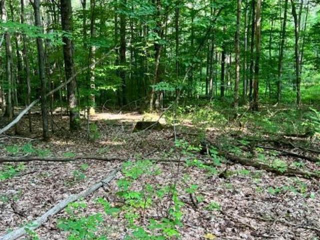 Land for sale in Gloversville, New York
