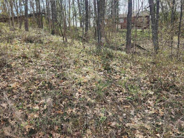 Land for sale in Ark