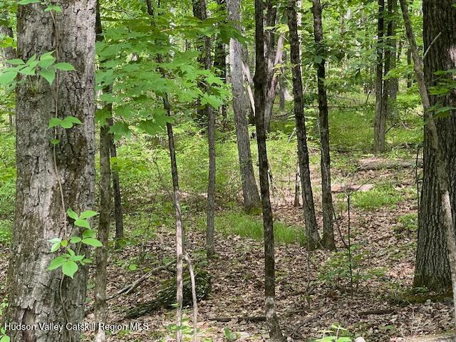 Land for sale in Acra, New York