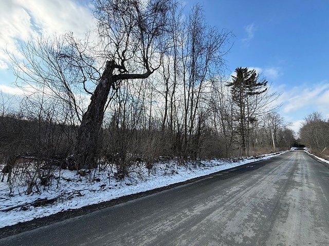 Land for sale in Hartwick, New York