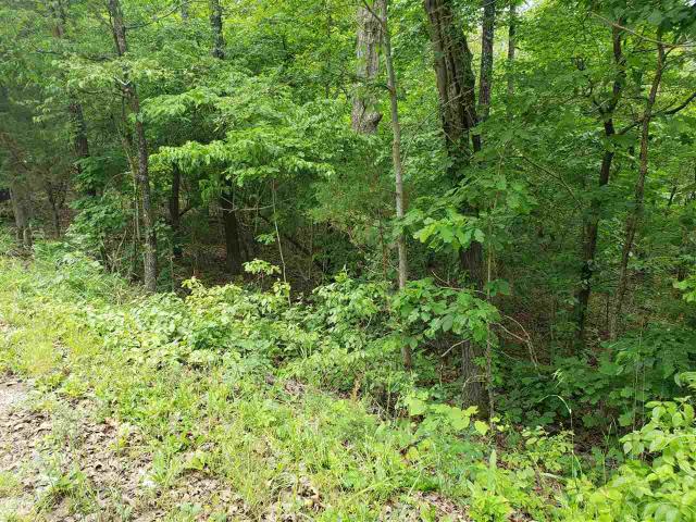Land for sale in Ark