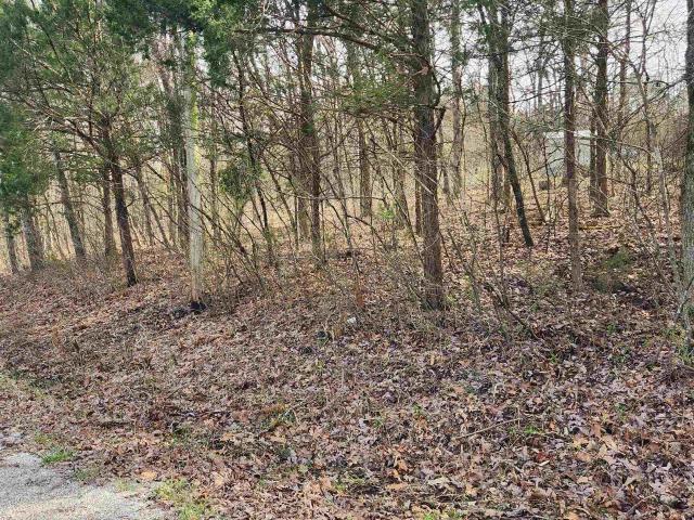 Land for sale in Ark