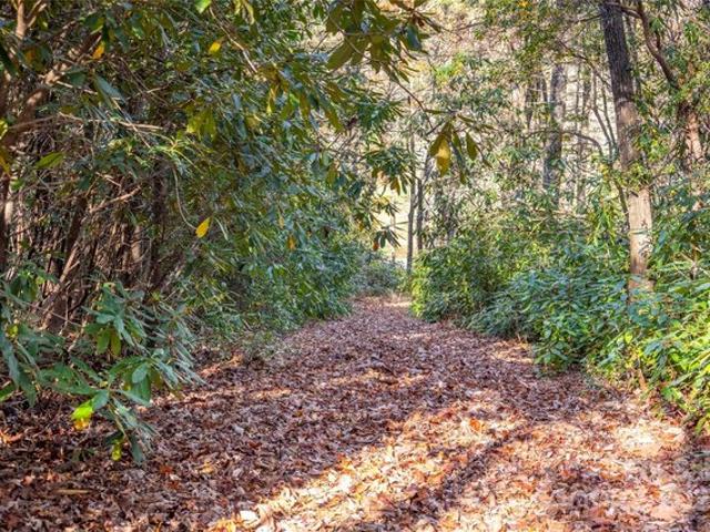 Land for sale in Transylvania, North Carolina