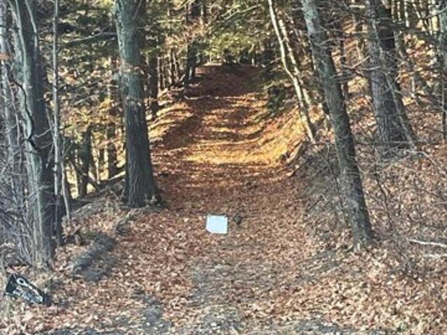 Land for sale in Middleburgh, New York
