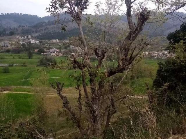 Land for sale in Rawalpindi, Islamabad Capital Territory