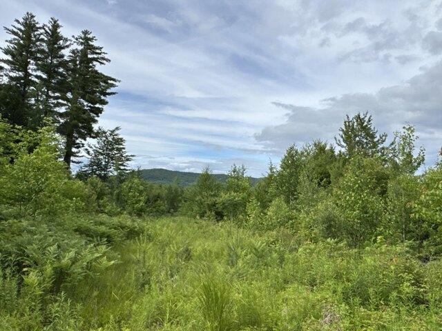 Land for sale in Maine