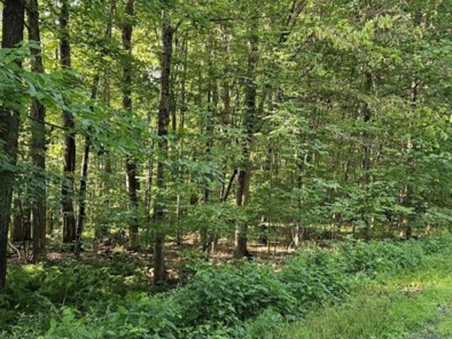 Land for sale in Greenfield Center