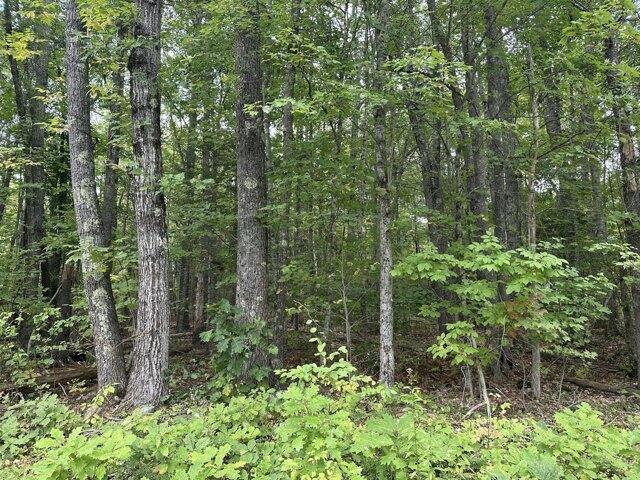 Land for sale in Hope, Knox County