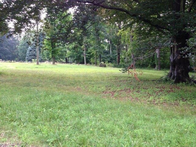 Land for sale in New Canaan