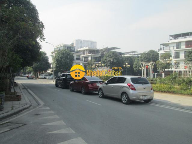 Biệt Thự bán