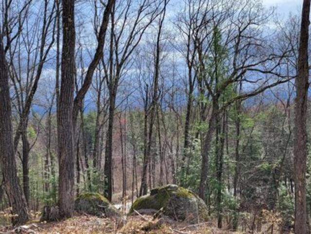 Land for sale in Queensbury