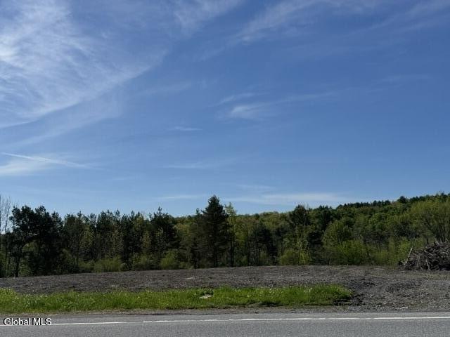 Land for sale in Duanesburg, New York