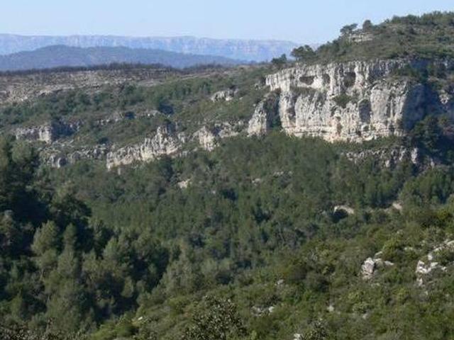 Casa en alquiler en La Torre De Fontaubella, Tarragona