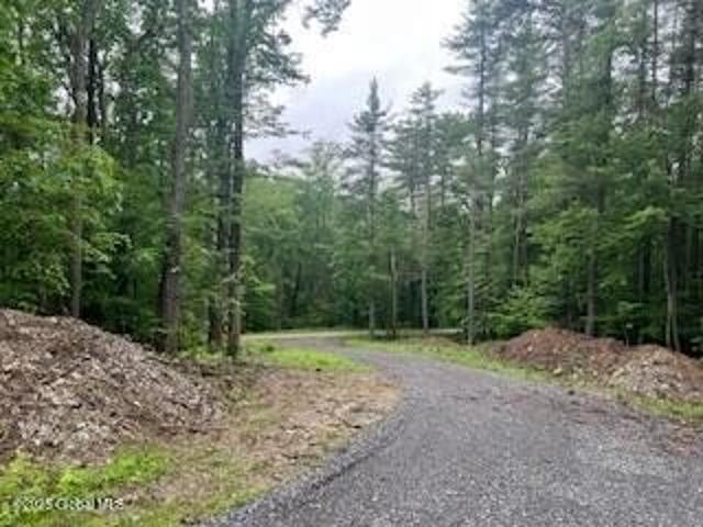 Land for sale in East Nassau, New York