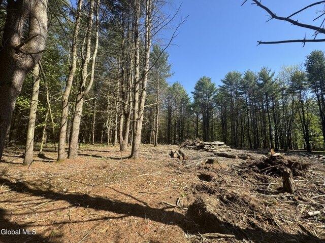 Land for sale in Cooperstown, New York