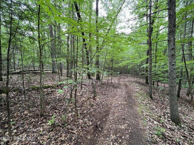 Land for sale in Saratoga Springs Land for sale in Saratoga Springs