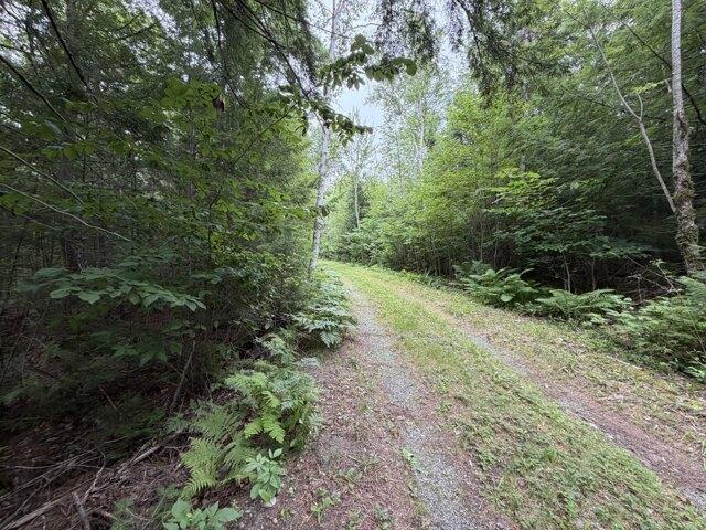 Land for sale in Danforth, Maine